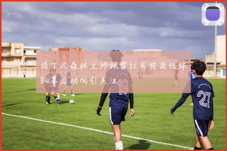 诺丁汉森林主帅佩雷拉或将离任球队幕后动向引关注